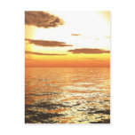 Afternoon Sun Postcard