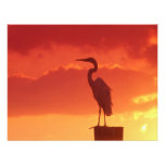Against A Red Sky Invitations
