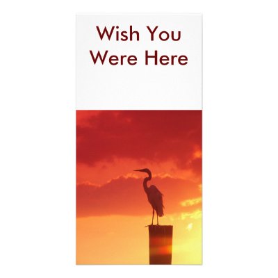 Against A Red Sky, Wish You Were Here Personalized Photo Card by Debrene