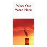 Against A Red Sky, Wish You Were Here photo cards