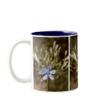agapanthus blue mugs