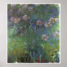 Agapanthus, Claude Monet Posters