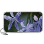 Agapanthus flower blooms mp3 speaker