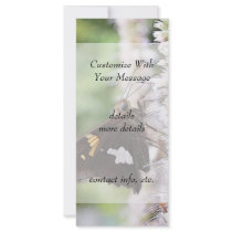 Agastache And Skipper Butterfly Custom Rack Card