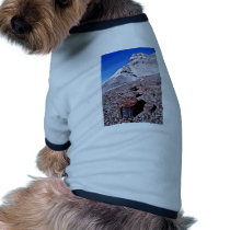 Agate Log - Desert National Park Doggie Tee