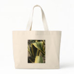 Agave Americana - Maguey bags