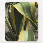 Agave Americana - Maguey Mouse Mats