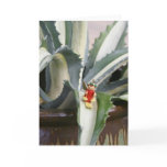 Agave angel greeting card