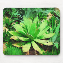 Agave attenuata mouse mats