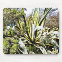 Agave Cactuses Mouse Pads
