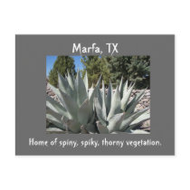 Agave Marfa, Texas Postcards