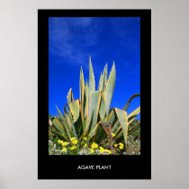 Agave Plant Poster,Print