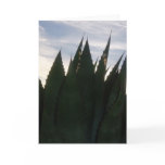Agave Skyrockets Greeting Card