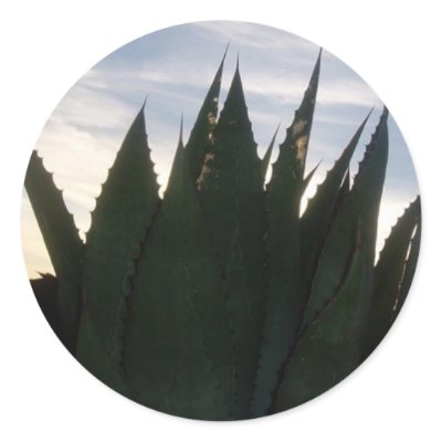 Agave Skyrockets Sticker by temequila