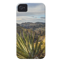 Agave Stretched Towards the Sun Iphone 4 Cover
