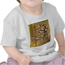 Agavell Shirt