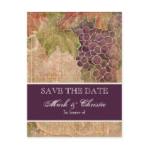 Aged Grape Vineyard Save the Date Post Card