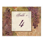 Aged Grape Vineyard Table Number Card Postcard