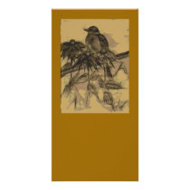 Aged Robin topog Photo Card