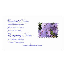 Ageratum Business Cards
