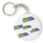 Ages as Ag Silver and Es Einsteinium Key Chains