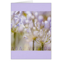 Aggies Cards