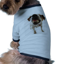 aggressive dog