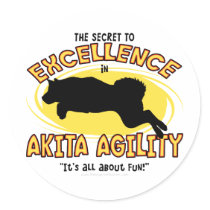 Agility Akita Secret