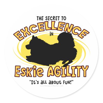 Agility American Eskimo Dog Secret by MenagerieMayhem