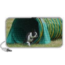 Agility Boston Terrier Doodle speaker