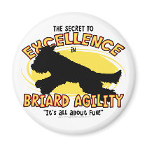 Agility Briard Secret Magnet