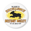 Agility Brittany Spaniel Secret Magnet