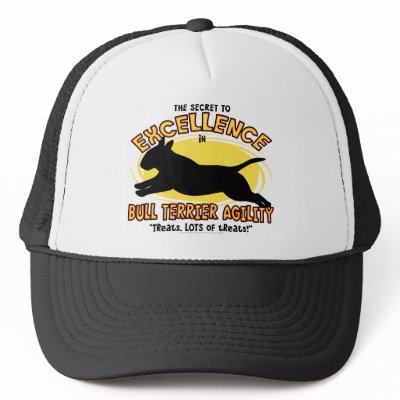Agility Bull Terrier Secret Hat by MenagerieMayhem