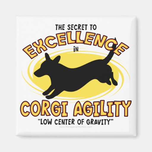 Agility Cardigan Welsh Corgi Secret Magnet