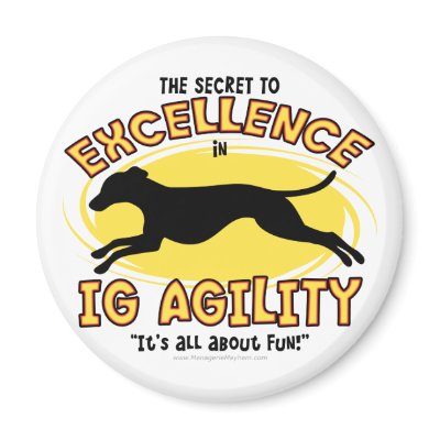Agility Italian Greyhound Secret Magnet by MenagerieMayhem
