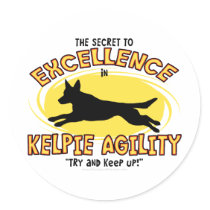 Agility Kelpie Secret