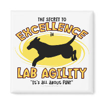 Agility Labrador Retriever Secret Magnet