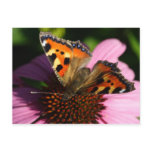 Aglais urticae postcards