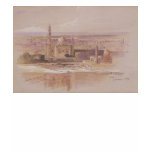 Agra Mosque, Cairo, 1849 t-shirts