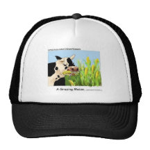 Agrazin' Maze Funny Cow Cartoon Gifts Collectibles Hats