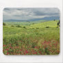 Agricultural field, Tuscany region of Italy. Mouse Pad