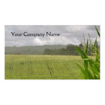 Agricultural maize business card