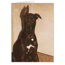 AH- Great Dane Dog Notecards or Greeting cards