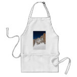 Aiguille du Midi - Mont Blanc Apron