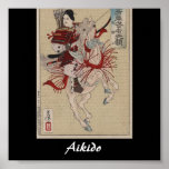 Aikido Japanese Martial Art Print