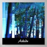 Aikido Japanese Martial Art Poster