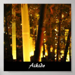 Aikido Japanese Martial Art Poster