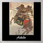 Aikido Japanese Martial Art Posters