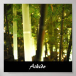 Aikido Japanese Martial Art Posters