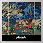 Aikido Japanese Martial Art Print